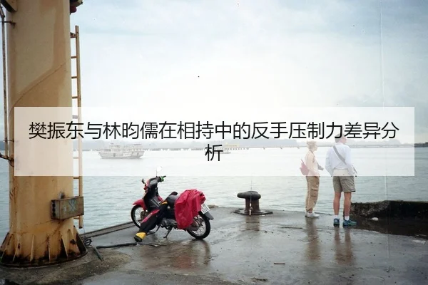 樊振东与林昀儒在相持中的反手压制力差异分析