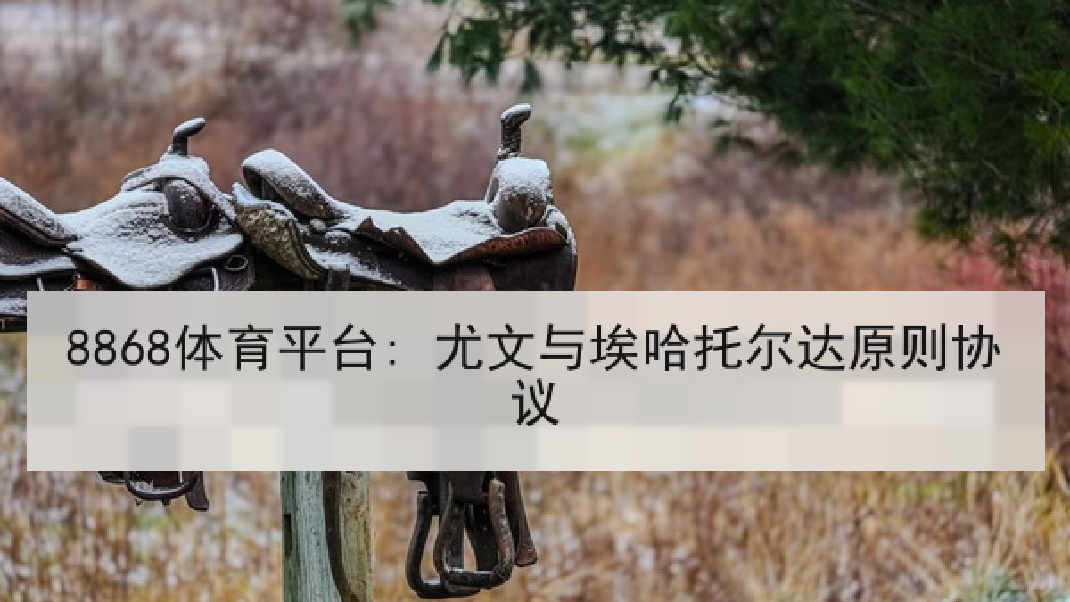 8868体育平台: 尤文与埃哈托尔达原则协议