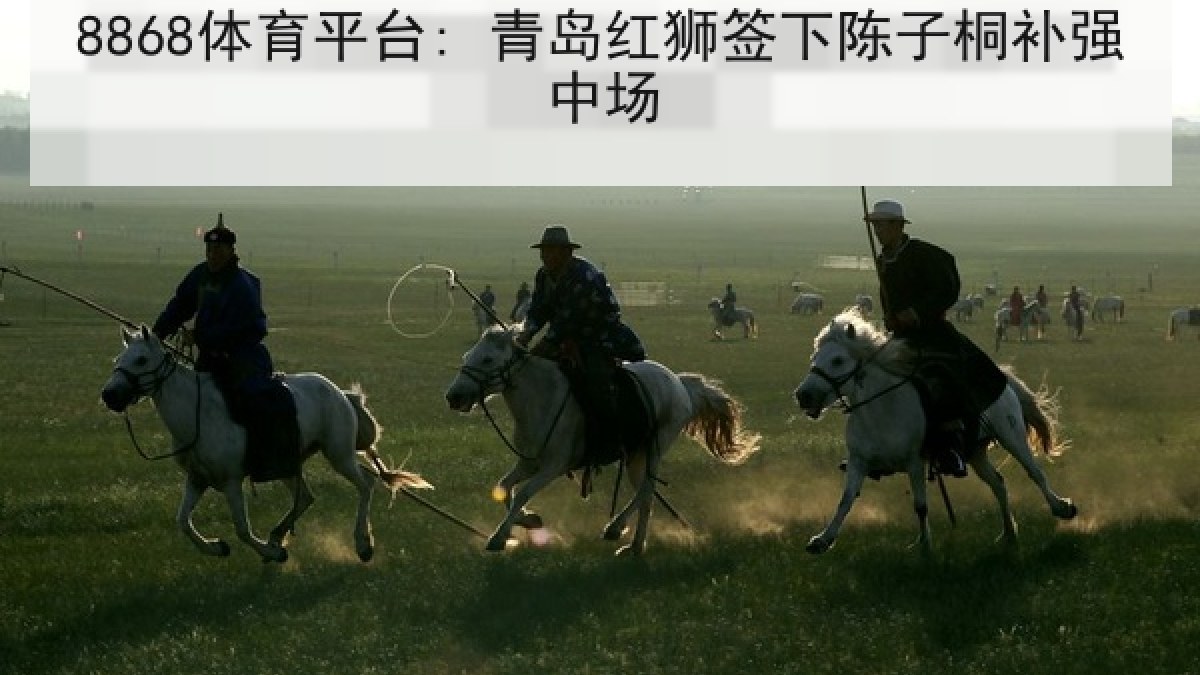 8868体育平台: 青岛红狮签下陈子桐补强中场