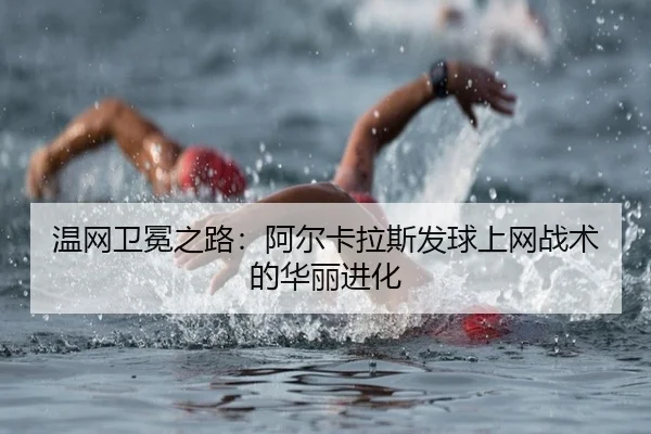 wen-wang-wei-mian-zhi-lu-a-er-ka-la-si-fa-qiu-shang-wang-zhan-shu-de-hua-li-jin-hua-3-260.jpg